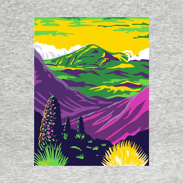 Haleakala National Park and Haleakala Volcano in Maui Hawaii United States WPA Poster Art Color by patrimonio